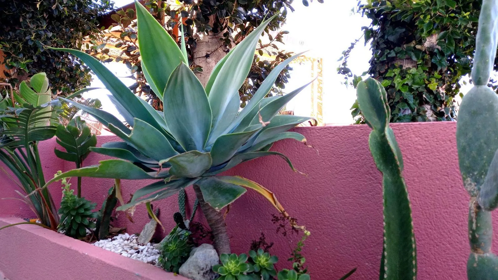 Guest house Hostal Boutique Bajio El Pozo de los Frailes Spain